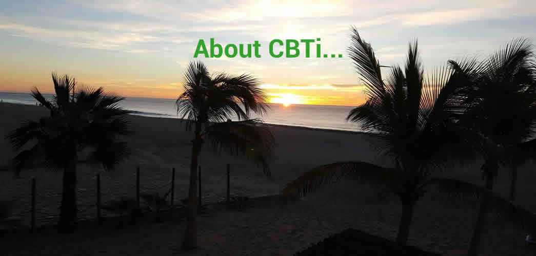 About CBTi ...